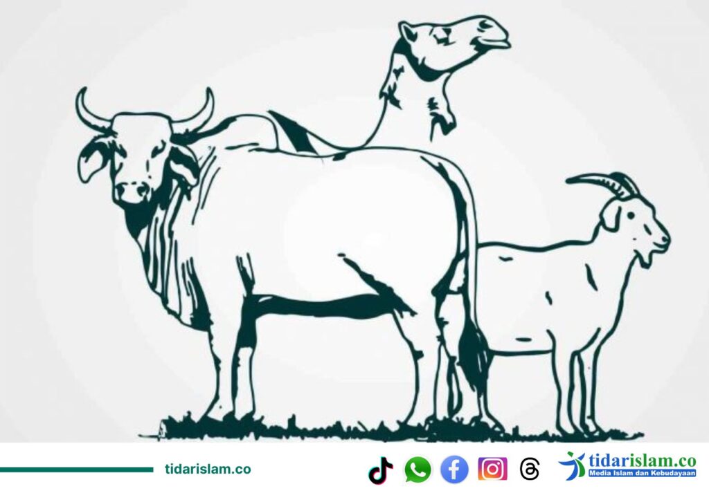 Idul Qurban: Simbol Upaya Mengenyahkan Sikap dan Sifat Kebinatangan